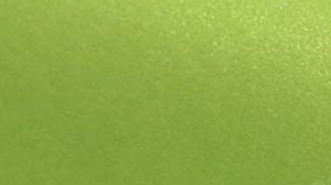 Papier ozdobny A-4 125 g/m2 BITTER GREEN 10 sztuk