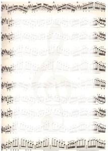 Galeria Papieru A-4 170 g/m2 NUTY
