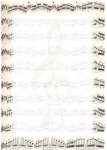 16486_10283