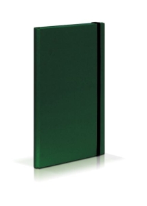 Teczka skrzydłowa z gumką CARIBIC zielona, 2 cm