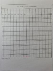 VI/1 Wkładka do Organizacja szkoły podstawowej,