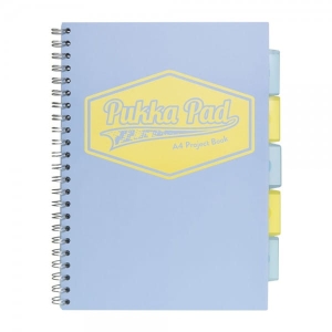 Kołonotatnik PUKKA A-4 200 stron kratka 8630S(BE)