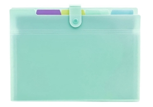 Teczka z przegrodami BIURFOL A-4 5 przeg. zielona