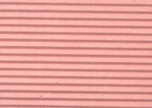 16620_10488