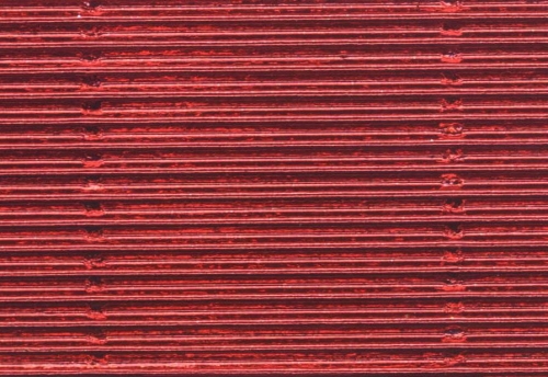 16669_10507