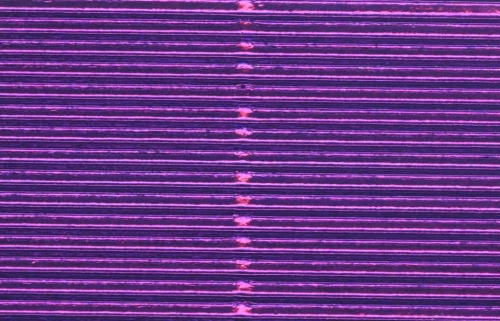 16670_10508