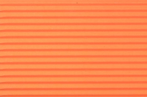16676_10536