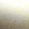 25506_25219