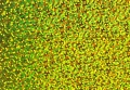 33332_34507
