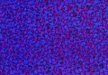 33337_34512