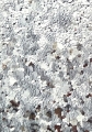 39537_50483