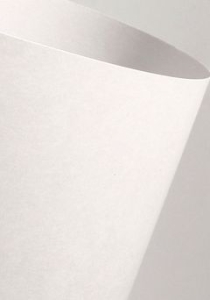 Karton wizytówkowy A-4 250g/m2 GŁADKI biały