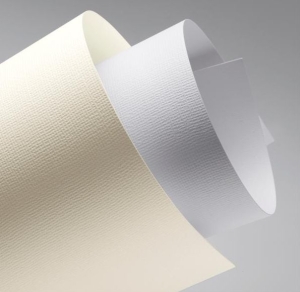 Karton wizytówkowy A-4 220/230 g/m2 LEN biały