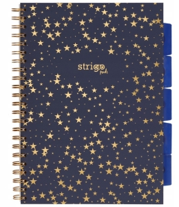 Kołonotatnik A-4 100 kartek  kratka STRIGO PADS