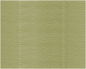 Bibuła 180g KREPINA 562 jasnozielona 50x250 cm