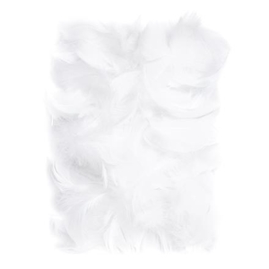 Ozdoba - Piórka 5-12 cm białe CEPI-012 10 g