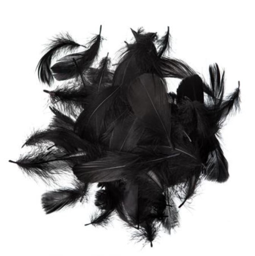 36905_43293